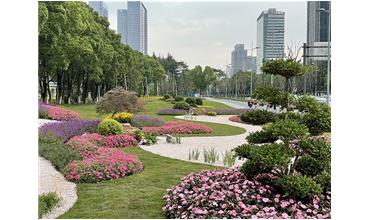 來現場打卡，感受“美麗無錫”的美好